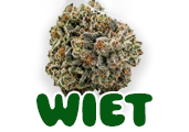 cannabiswinkel, online cannabis kopen